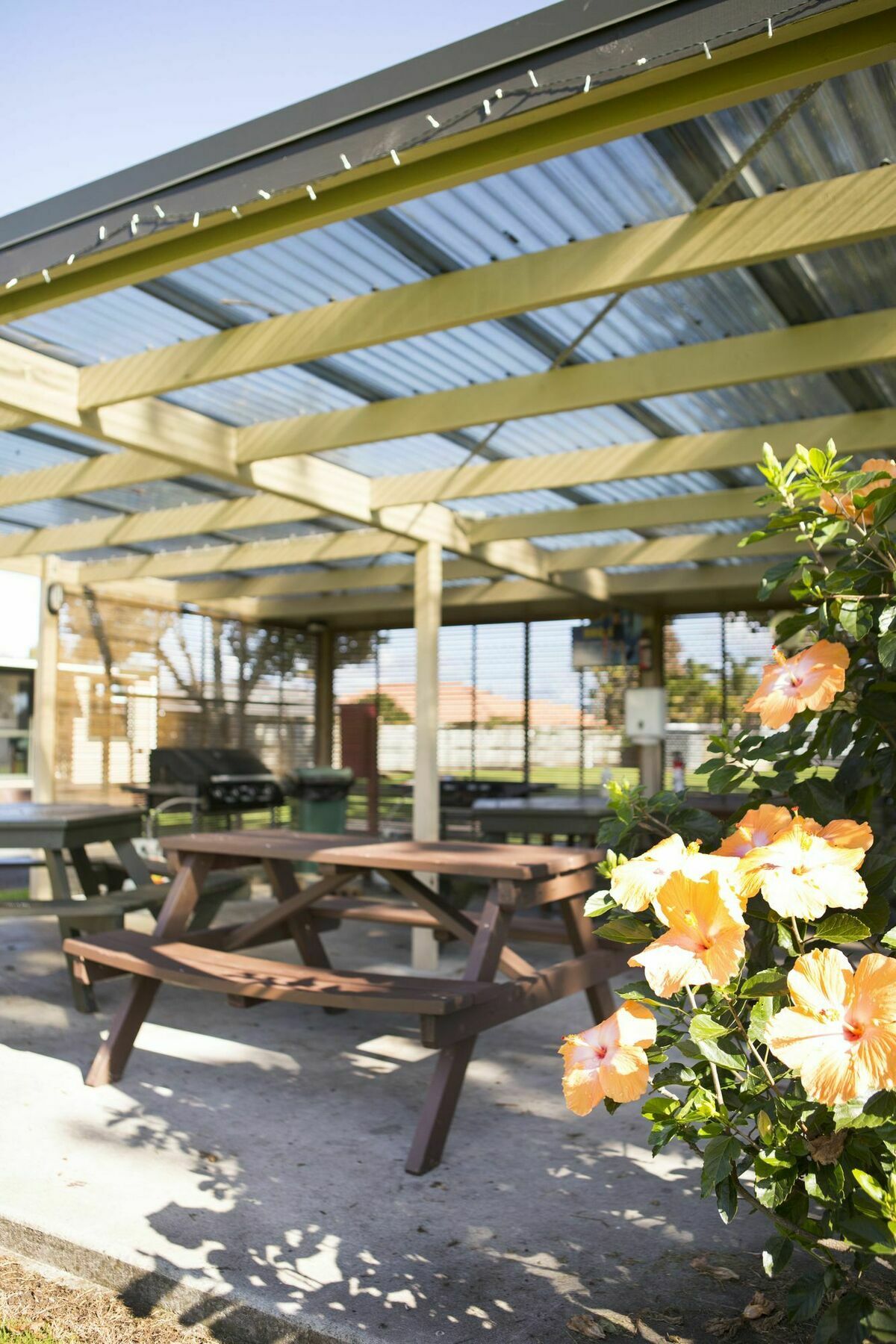 Mercury Bay Holiday Park Whitianga Exterior photo
